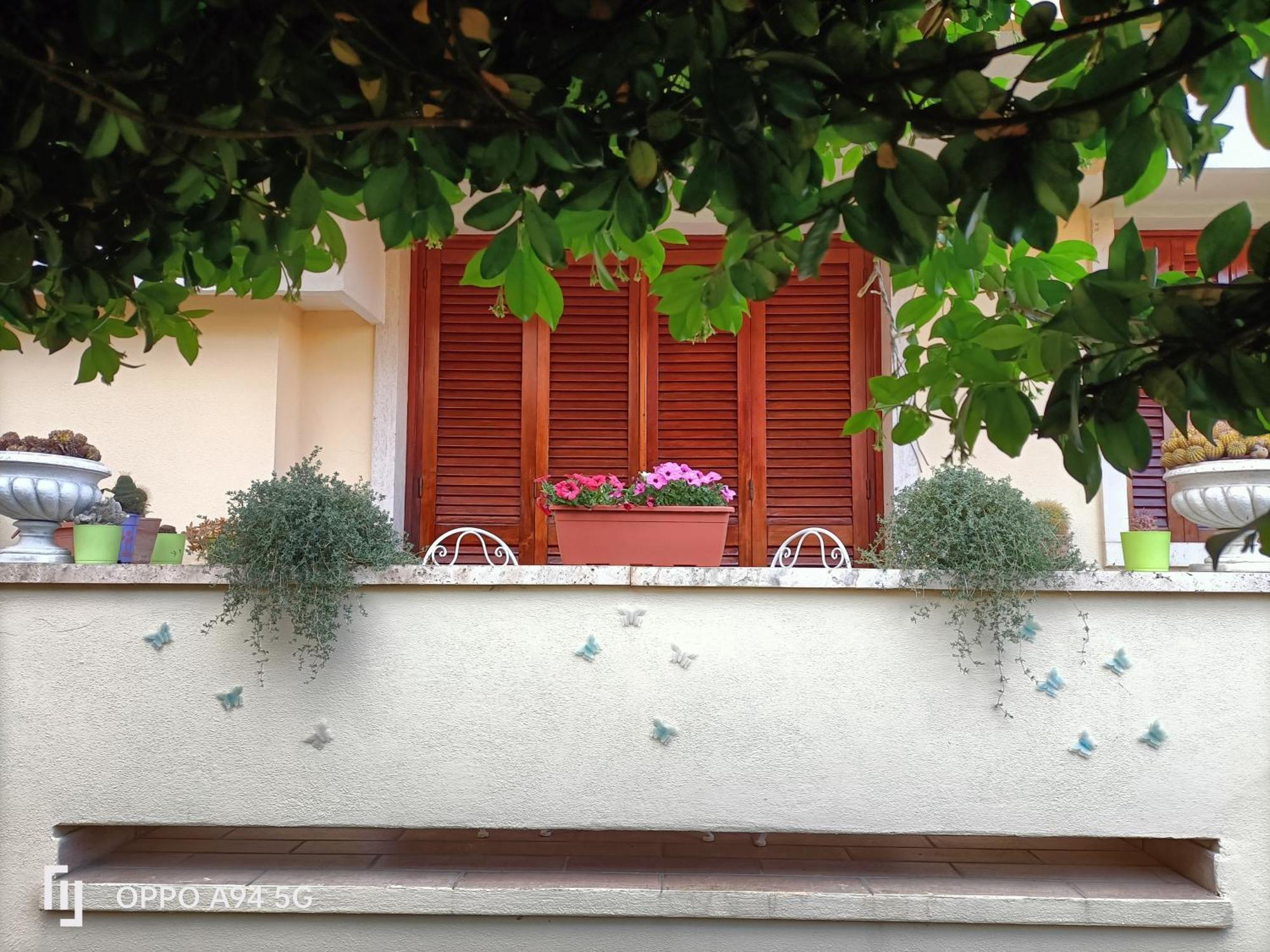 Gemma Di Gallura Charme B&B Olbia Ngoại thất bức ảnh