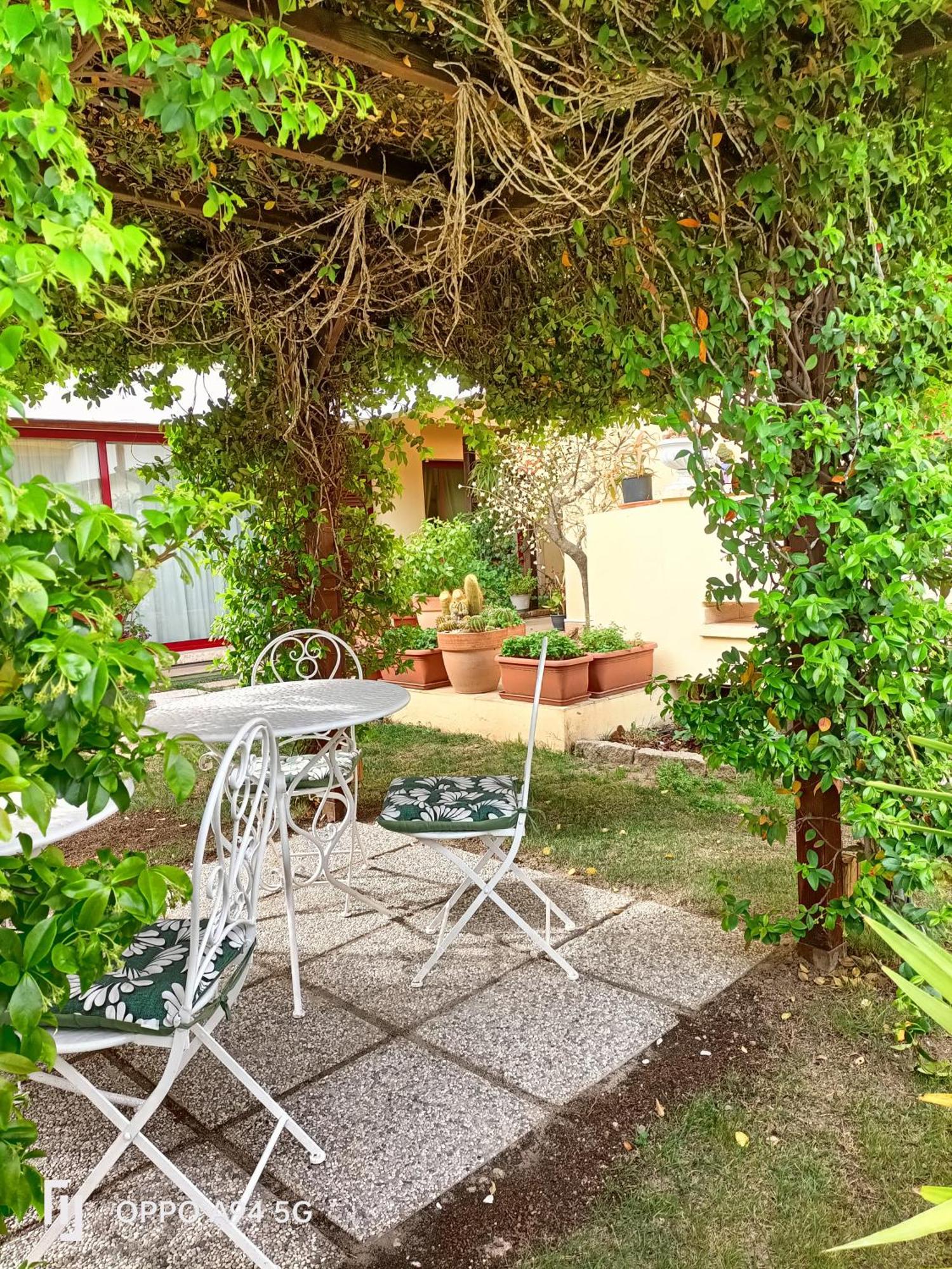 Gemma Di Gallura Charme B&B Olbia Ngoại thất bức ảnh